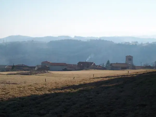 Monte Escalier 42 Monte escalier Bard