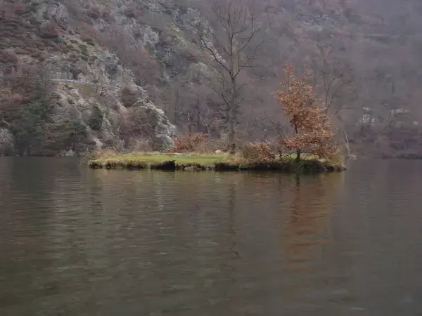 Monte Escalier 42 Monte escalier Caloire