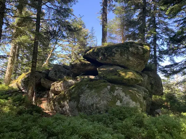 Monte Escalier 42 Monte escalier La Valla-sur-Rochefort