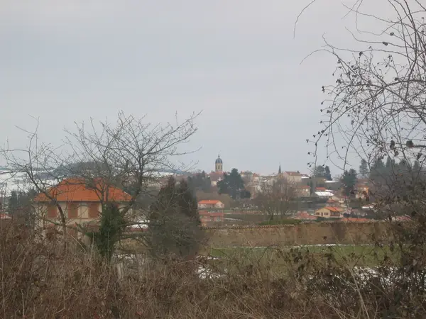 Monte Escalier 42 Monte escalier Lay