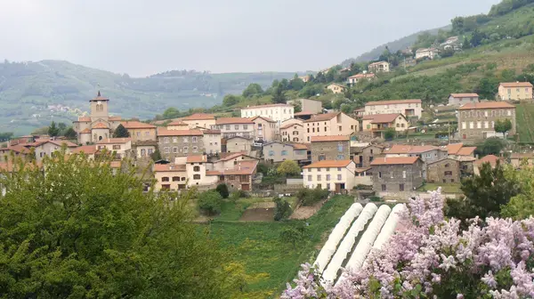 Monte Escalier 42 Monte escalier Saint-Romain-en-Jarez